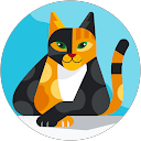 Anne Marie Damay profile picture